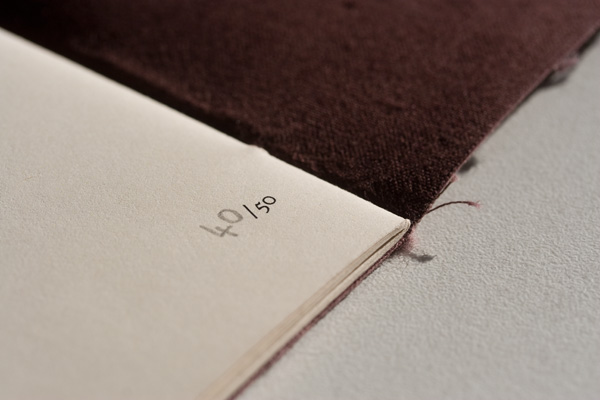 detail 8
