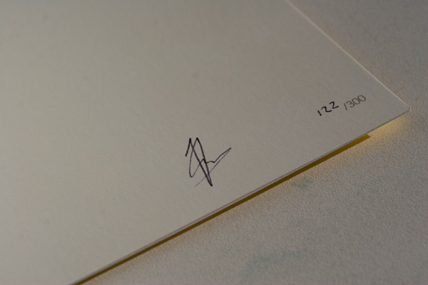 detail 6